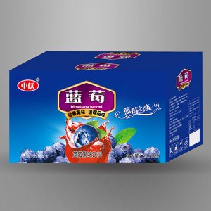 中仸蓝莓果味饮料箱装